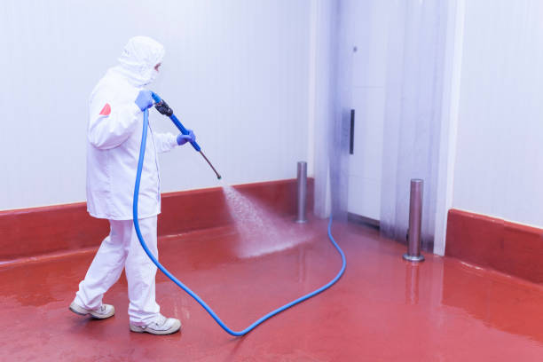 Best Patio and Deck Pressure Washing  in Crest, CA