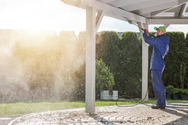 Best Oil Spill Cleanup  in Crest, CA