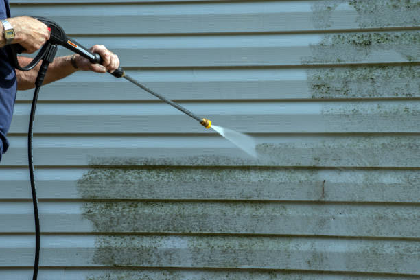 Best Sidewalk and Walkway Cleaning  in Crest, CA